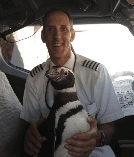 Penguins on a plane